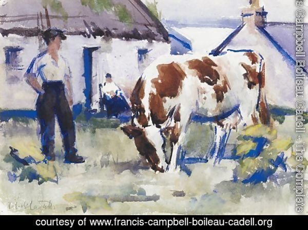 The Brown And White Cow, Iona